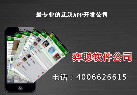武汉APP开发