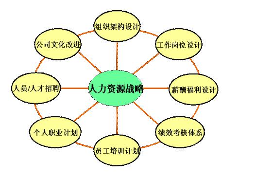 中小型软件公司的人才结构分析及人力资源管理体系九要素