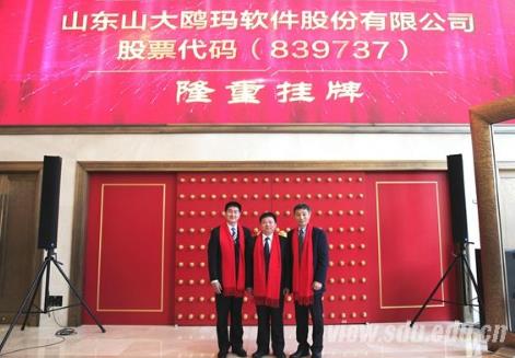 山东软件公司