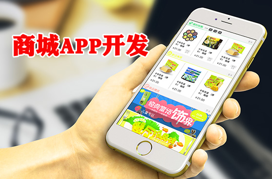 西安商城APP开发公司