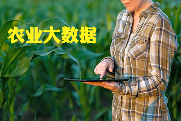 陕西省农业农村大数据及物联网发展格局逐步建立健全