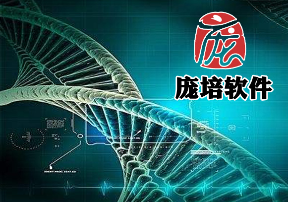 南京庞培软件科技有限公司