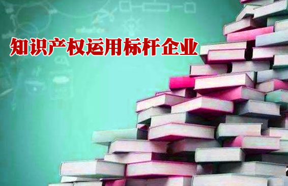 2019年湖南省工业领域知识产权运用标杆企业名单