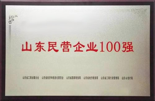 2019年山东民营企业100强名单公布