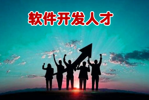 西安软件公司