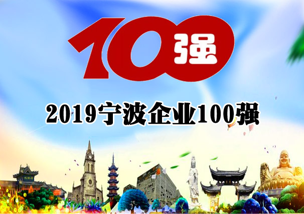 2019宁波企业100强完整榜单