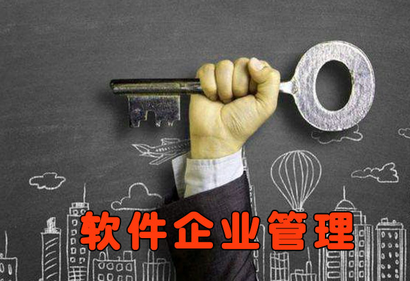 软件公司