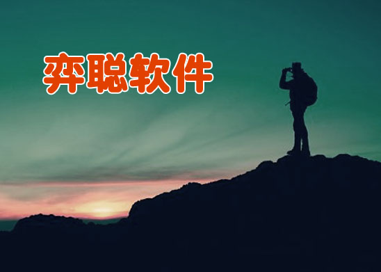 弈聪软件掌舵人：传统软件业务仅能维持生存，提前布局创新发展方为上策