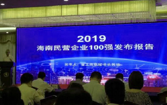 2019海南省民营企业100强名单发布(附全名单)