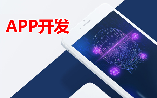 说说西安APP开发小公司的通病，未来APP开发公司怎么混？