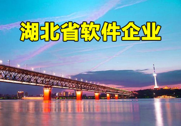 湖北省2021年第五批软件企业评估结果公布